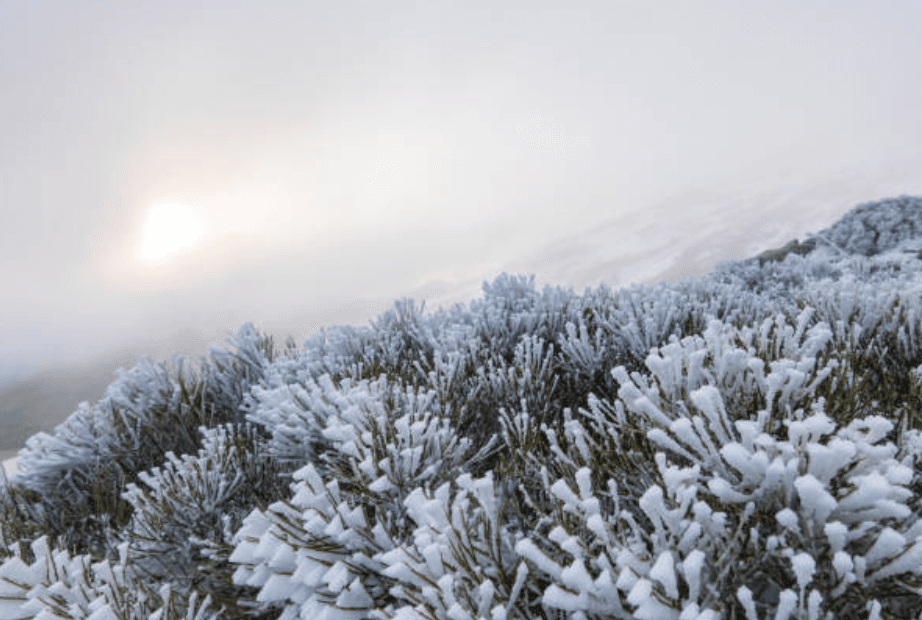 Temperaturas heladoras registradas durante la pasada noche con hasta casi -9ºC en cotas altas.